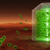 火星での藻類栽培が現実に、ハーバード大学がバイオプラスチック技術で宇宙農業の新時代を開拓