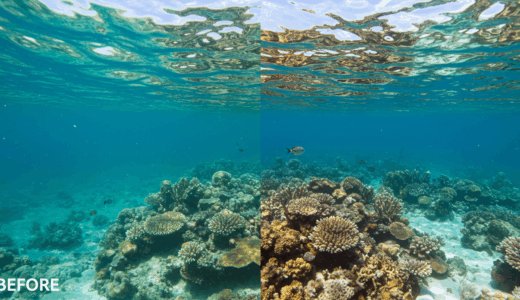 MIT開発「SeaSplat」で海底探査が進化－水の影響を除去した真の色彩を3D再現