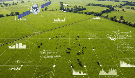 Time2Graze：衛星技術で畜産業革命、メタン削減20％へ