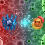RAS遺伝子変異がんに新治療法｜フランシス・クリック研究所が健康細胞を守る分子標的薬を開発