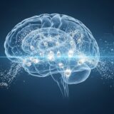 USC人工ニューロン|銀イオン拡散メモリスタが実現する脳型AI、エネルギー消費を桁違いに削減