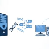 PARM、遺伝子制御を予測するAIモデル発表 AlphaGenomeの1000分の1の計算量で動作