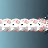 山梨大学が解明：哺乳類クローニングに「遺伝的限界」、20年・58世代の連続実験が示した生命の壁